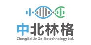 北京中北林格科技发展有限公司